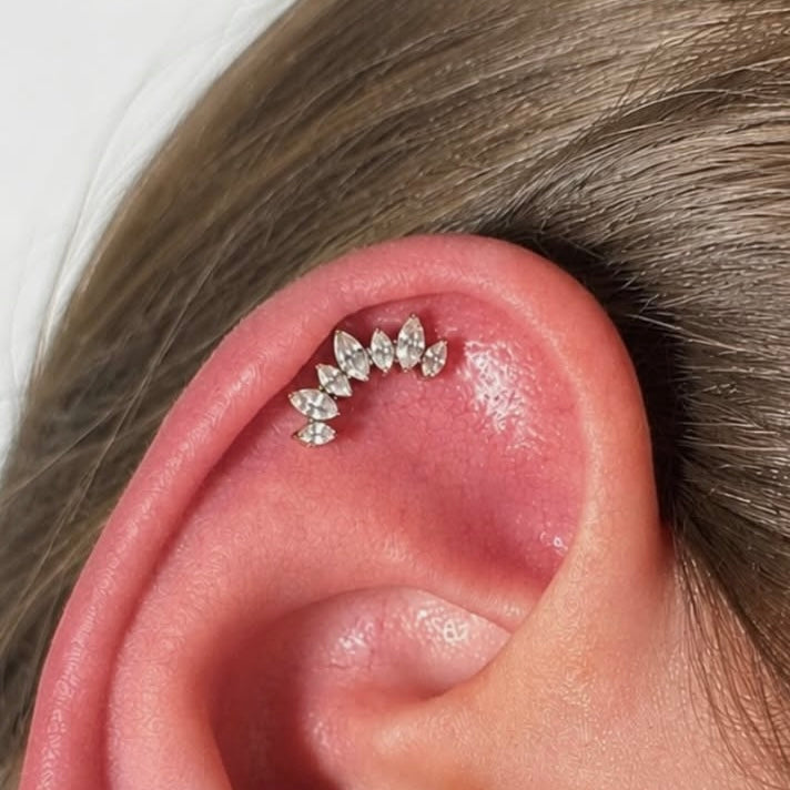 Kolczyk do piercingu ucha z cyrkoniami – tytanowy cluster – srebrny