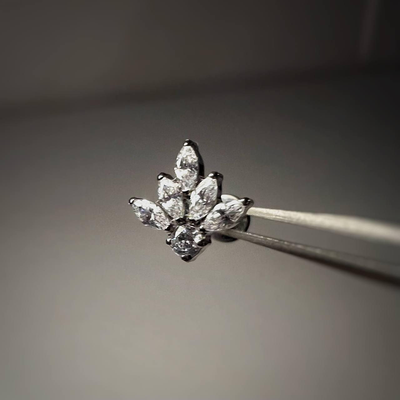 Kolczyk LABRET tytanowy srebrny z cyrkoniami w kształcie listków ASTM F-136