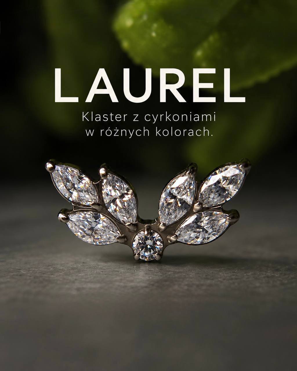 Laurel