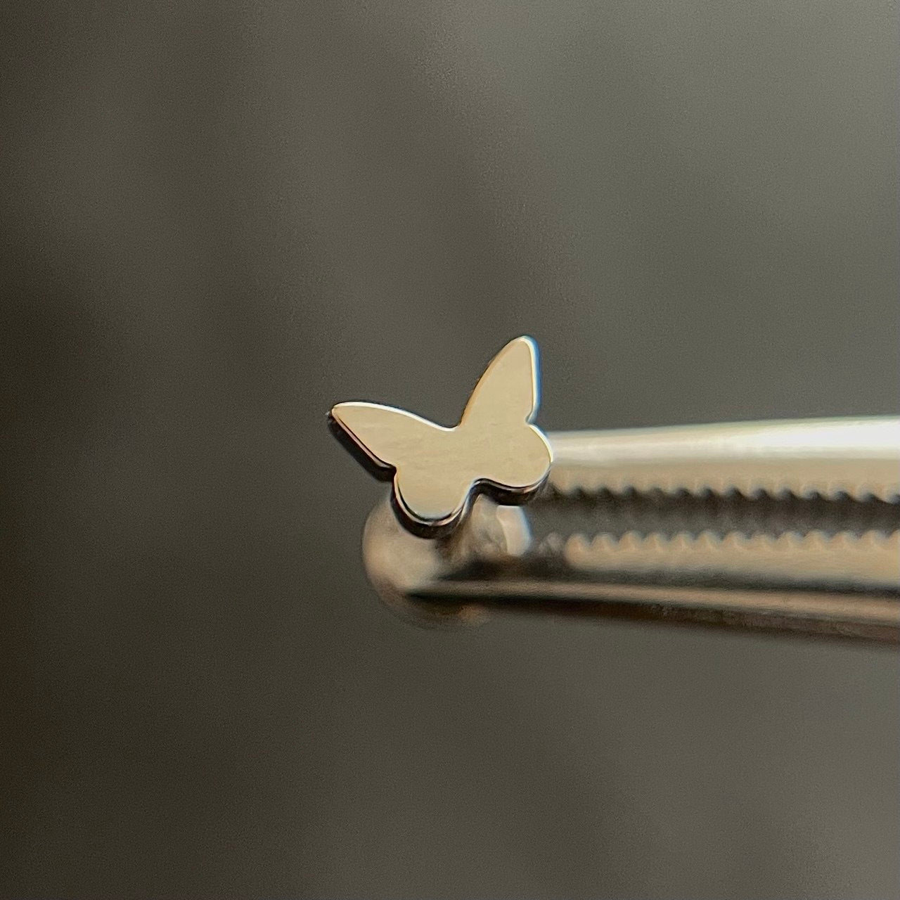 Tytanowy srebrny labret G23 z motylkiem – kolczyk do piercingu