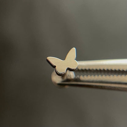 Tytanowy srebrny labret G23 z motylkiem – kolczyk do piercingu